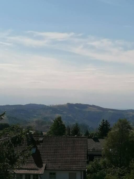 Ferienhaus Hoher Weg - Urlaub, Wandern, Downhill Und Workation Am Nationalpark Harz Sankt Andreasberg Exterior photo